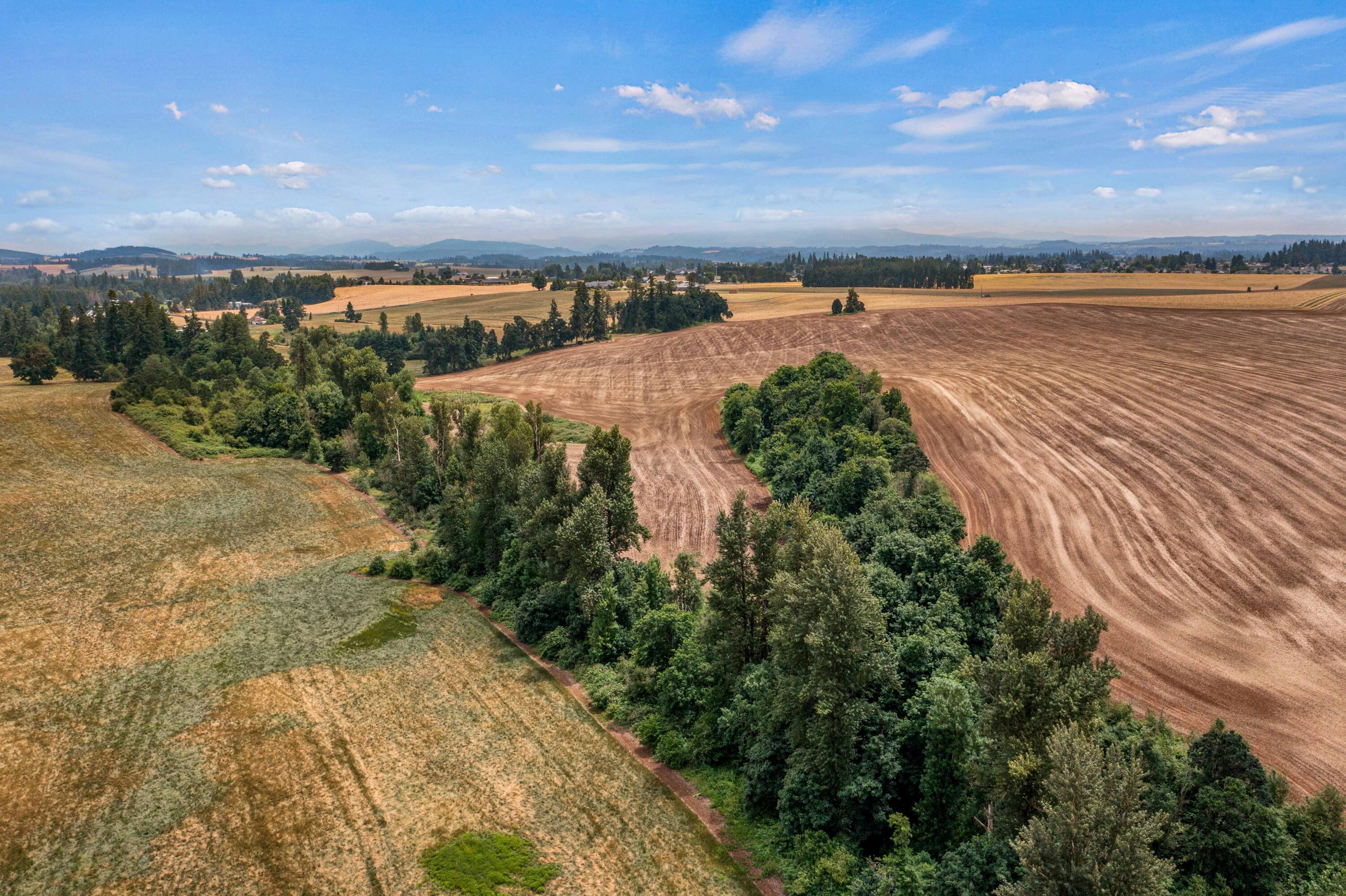 Anderson Road Northeast, Unit 100 Sublimity, OR 97385 - Photo 18 of 24 17DJI_0271