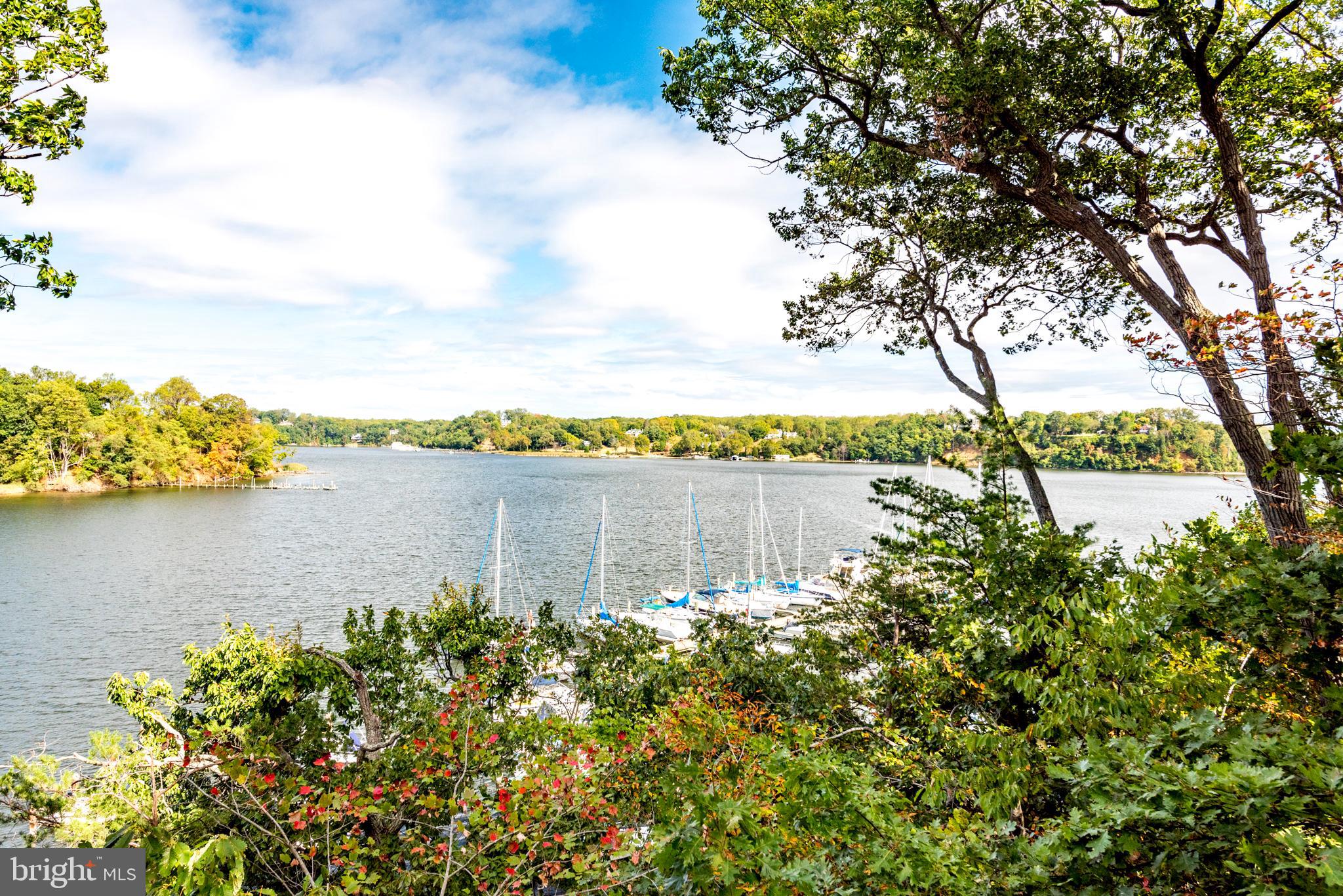 338 Severn Road Annapolis, MD 21401 - Photo 11 of 50 Can't stop looking at this view.