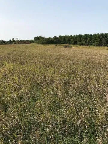 $260,000 | Tbd Tbd Island Estates Northwest, Pine Island, MN 55963