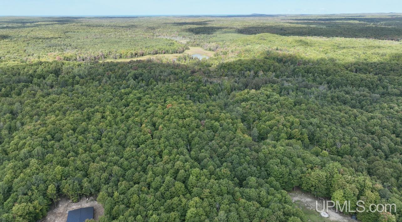 Tbd Tbd Co Road, Unit LOT C Shingleton, MI 49884 - Photo 2 of 8