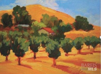 7871 Butts Canyon Road Pope Valley, CA 94567 - Photo 30 of 31 a view of swimming pool yard