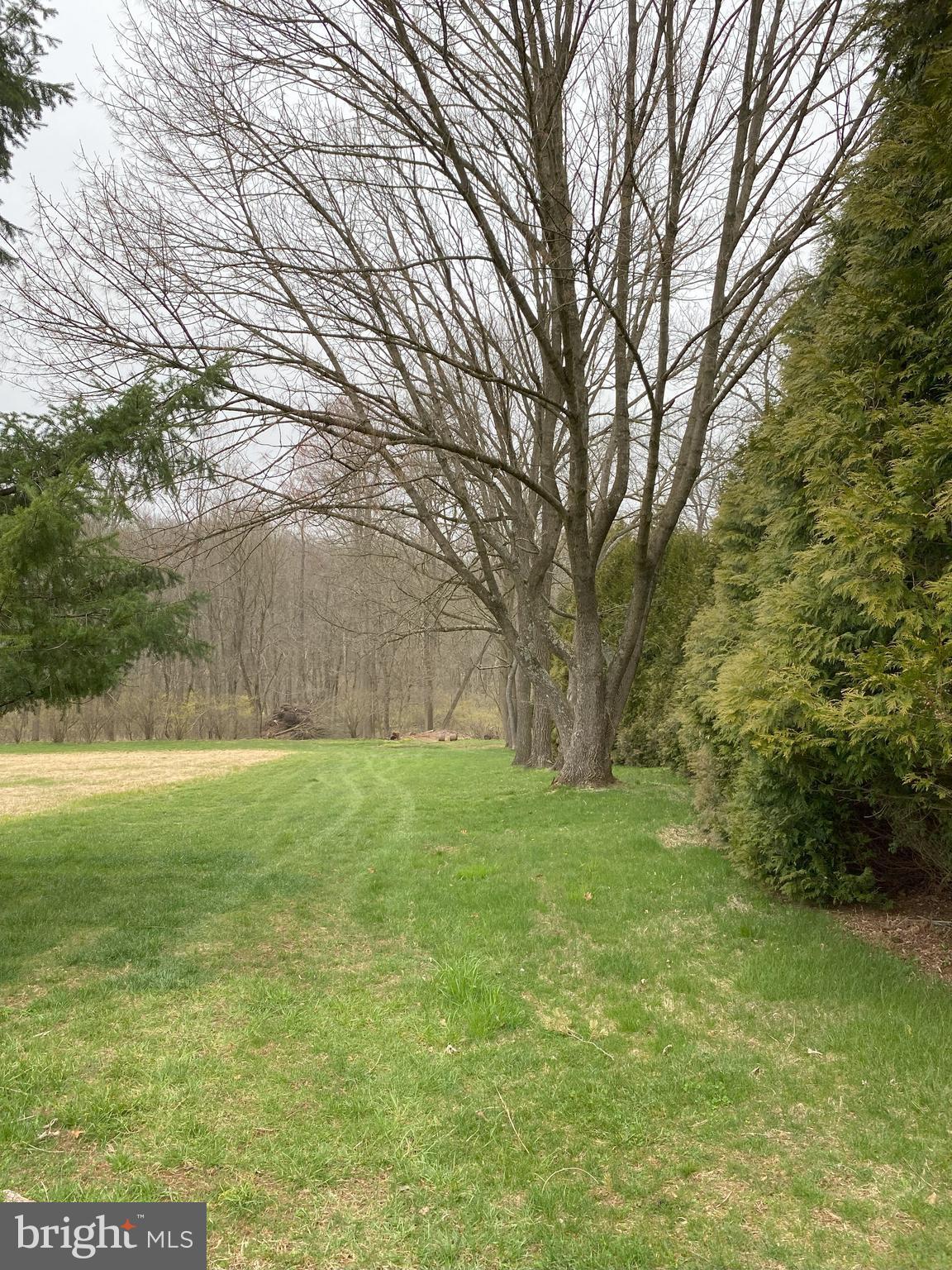Lot 10-10a Merlin Road Chester Springs, PA 19425 - Photo 13 of 61 Gallery Image 13