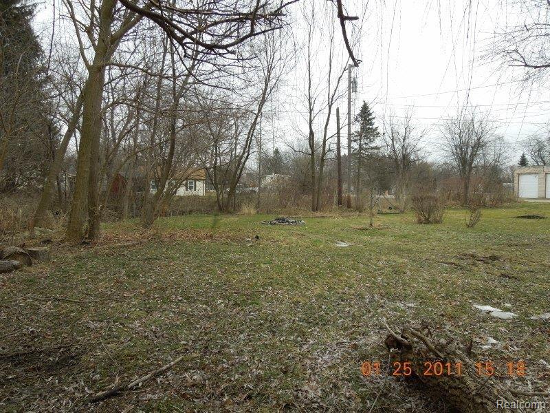 58424 Ruth Jean Washington, MI 48094 - Photo 15 of 21 RES04284.JPG