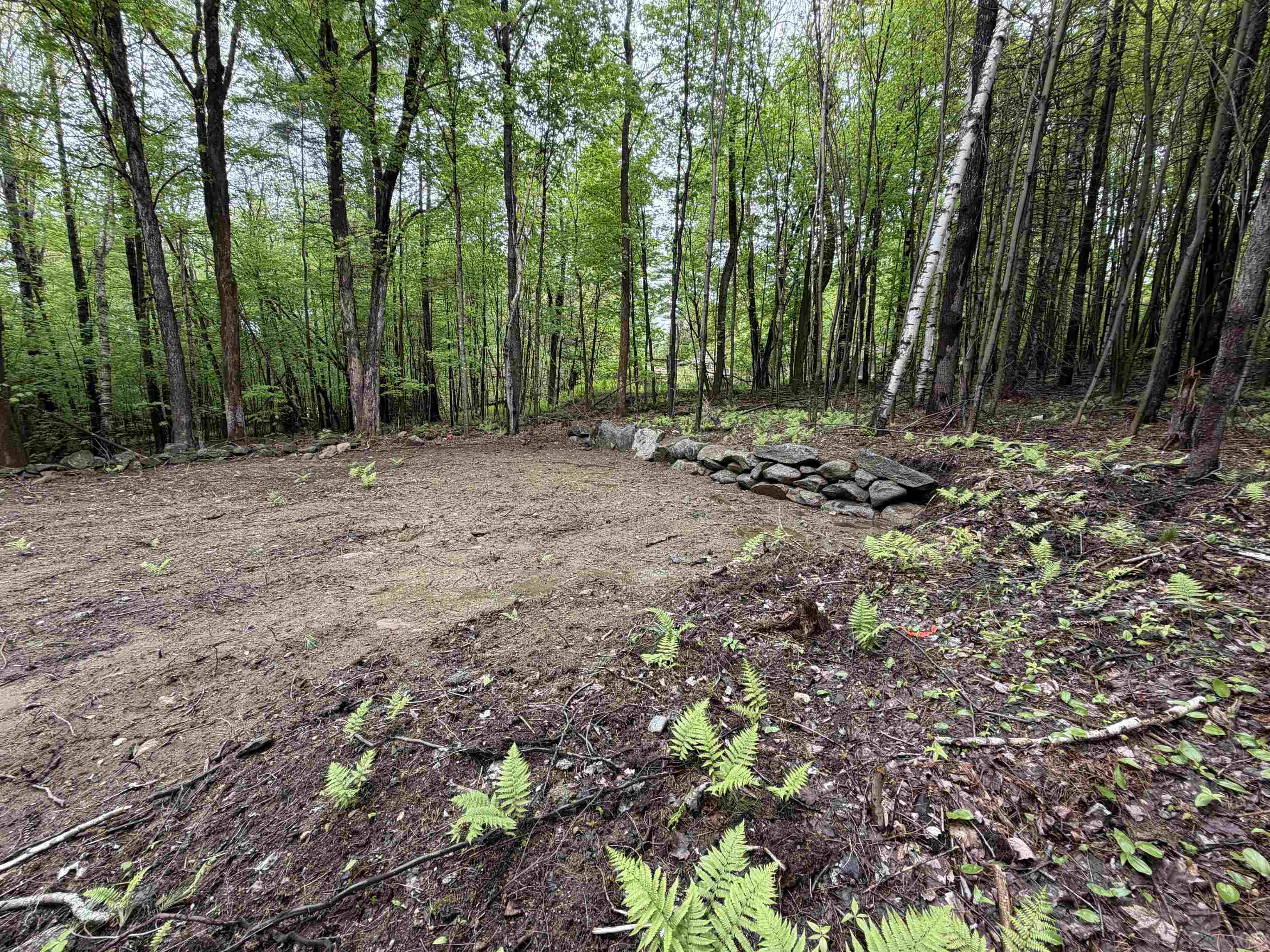 114 Lewis Hill Road Bethlehem, NH 03574 - Photo 4 of 12