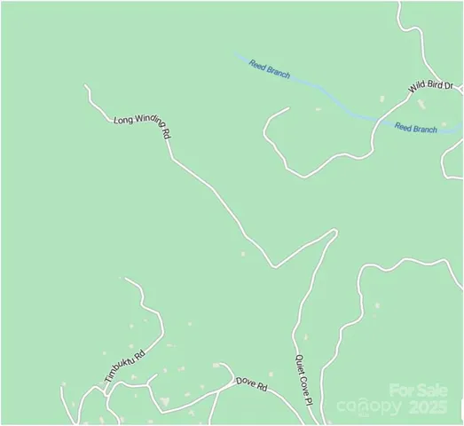 a view of a lush green forest with lush green forest