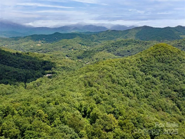 a view of a green field with lots of bushes
