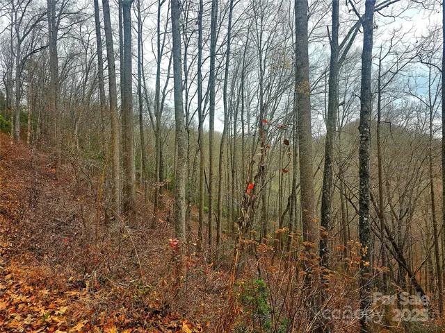 $110,000 | 0 Quiet Cove Road, Unit 4 5 7 11 12 14 15, Sylva, NC 28779