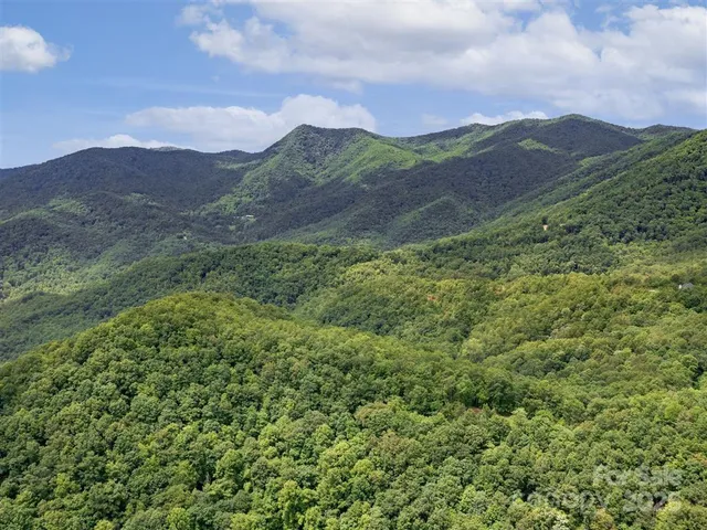 a view of a lush green hillside and a houses