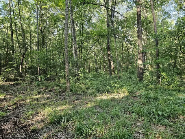 $45,000 | Tbd Strickland Road, Big Sandy, TX 75755