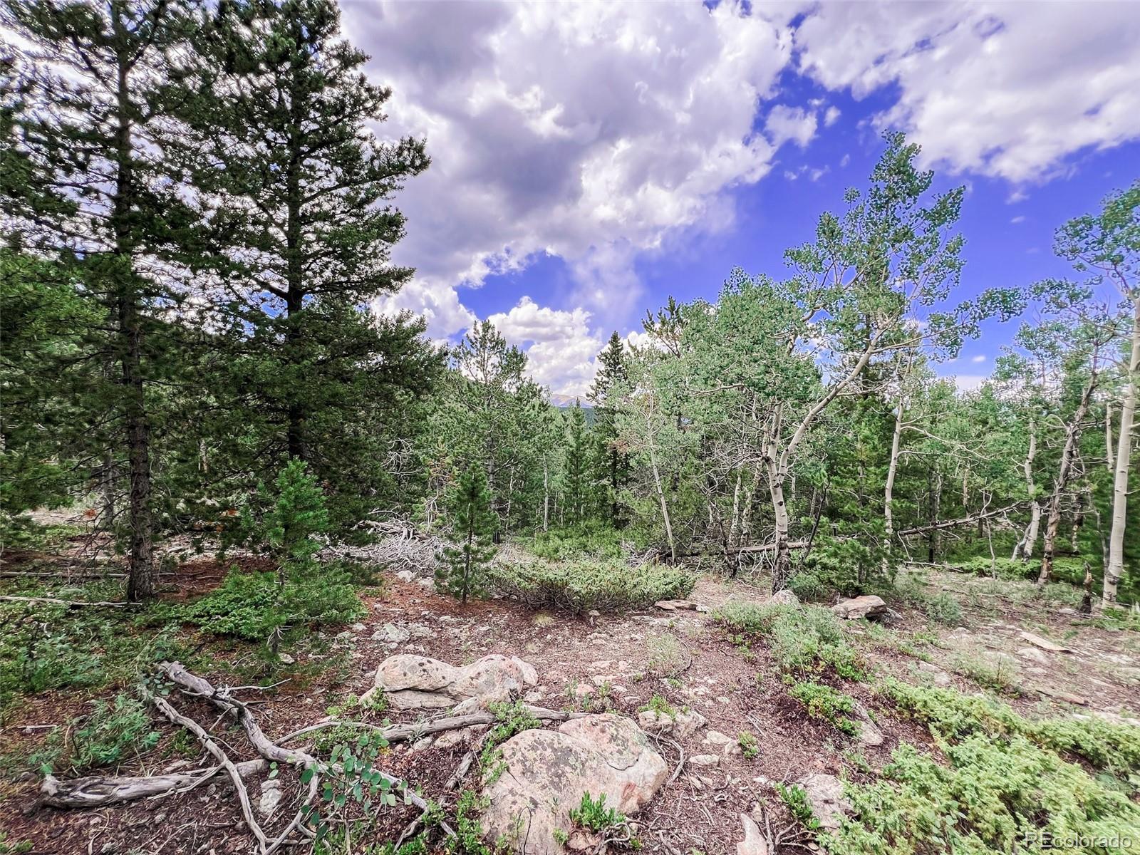 0 South Spring Gulch Road Idaho Springs, CO 80452 - Photo 18 of 35 Gallery Image 18