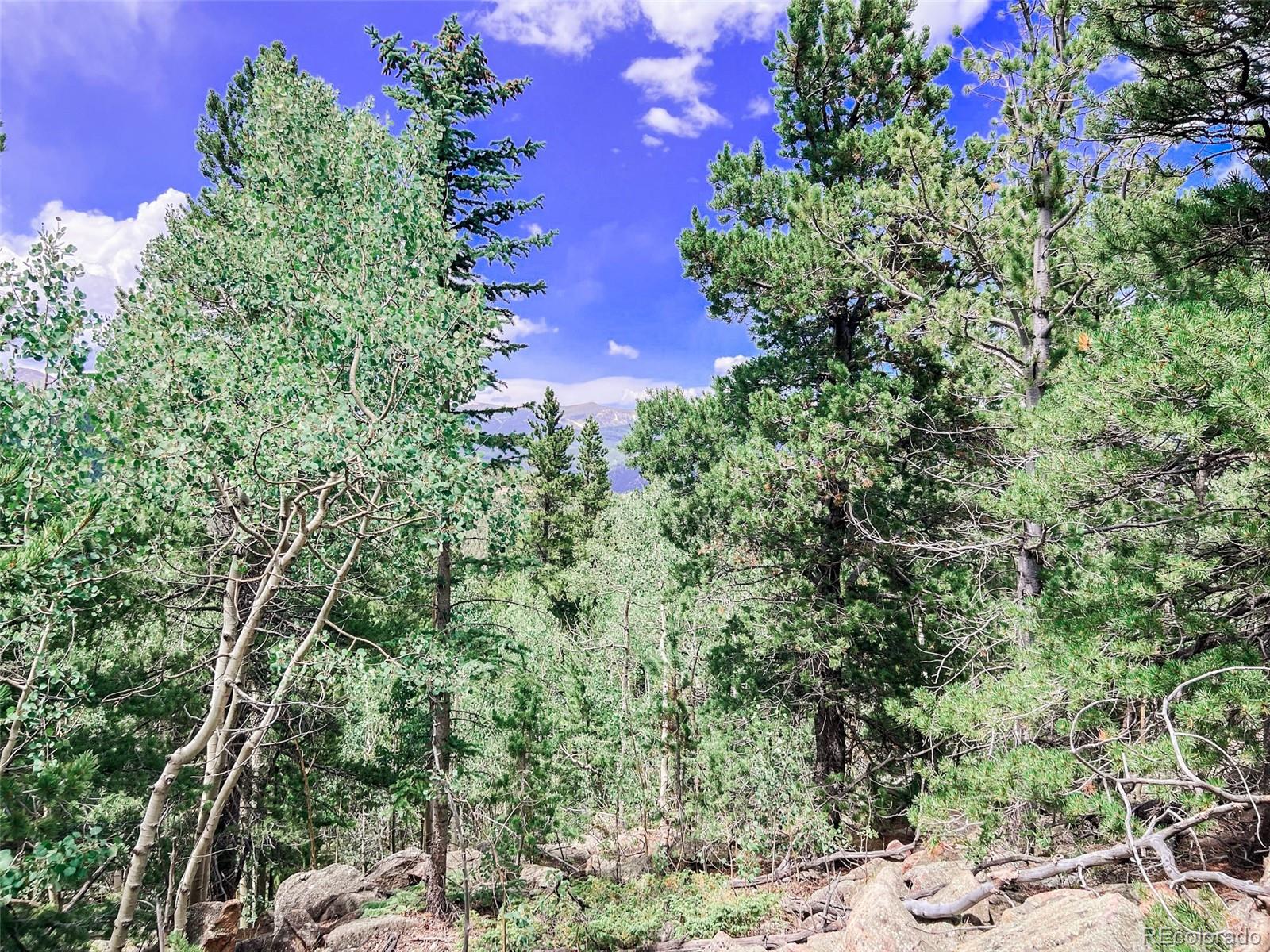 0 South Spring Gulch Road Idaho Springs, CO 80452 - Photo 2 of 35 Gallery Image 2