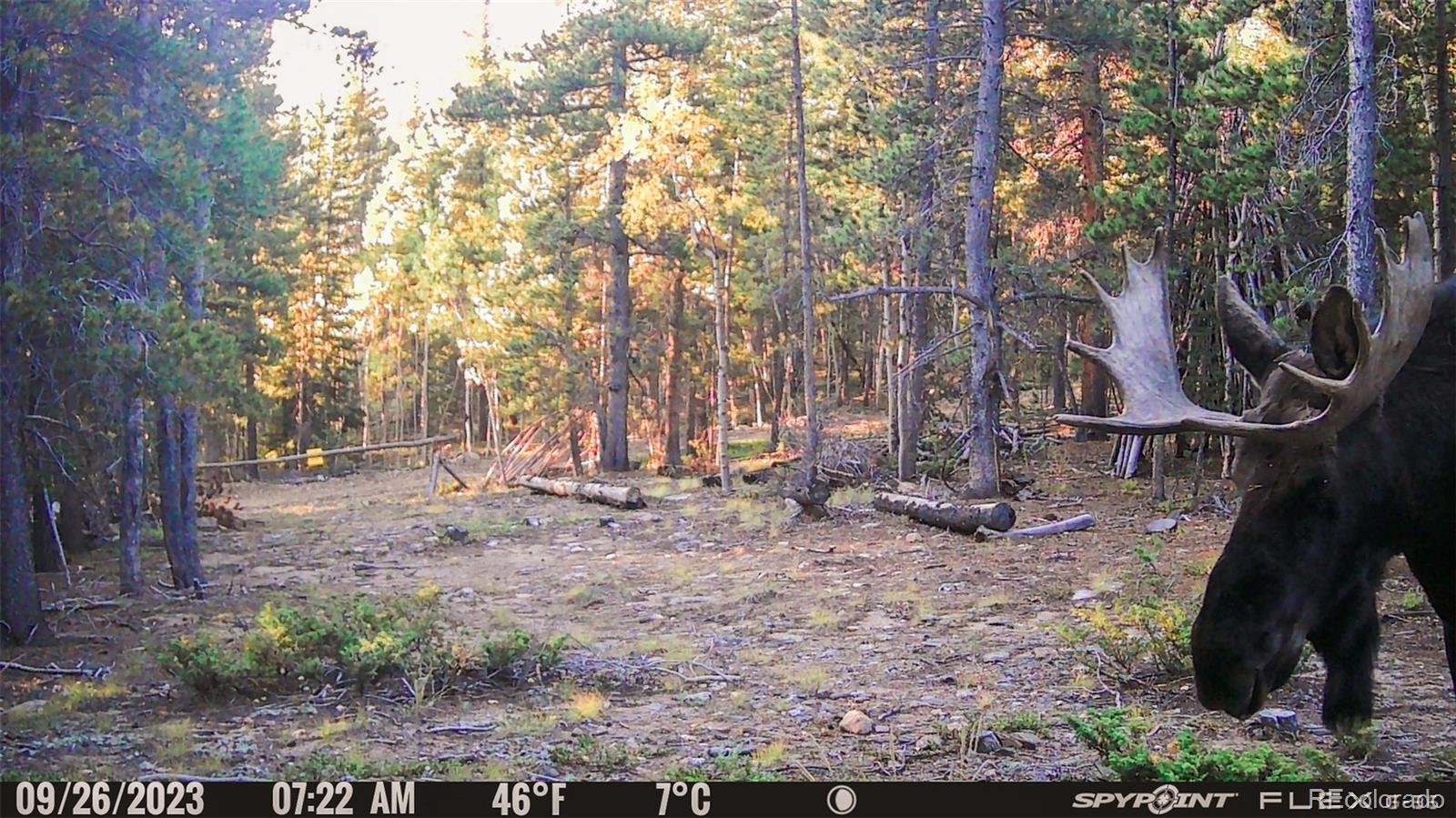 0 South Spring Gulch Road Idaho Springs, CO 80452 - Photo 22 of 35 Gallery Image 22