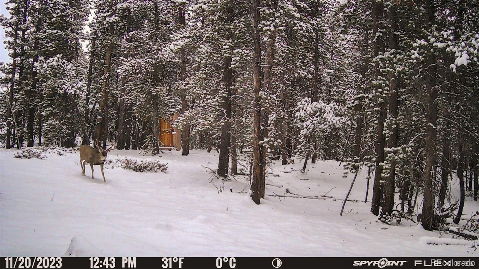 0 South Spring Gulch Road Idaho Springs, CO 80452 - Photo 23 of 35 Gallery Image 23