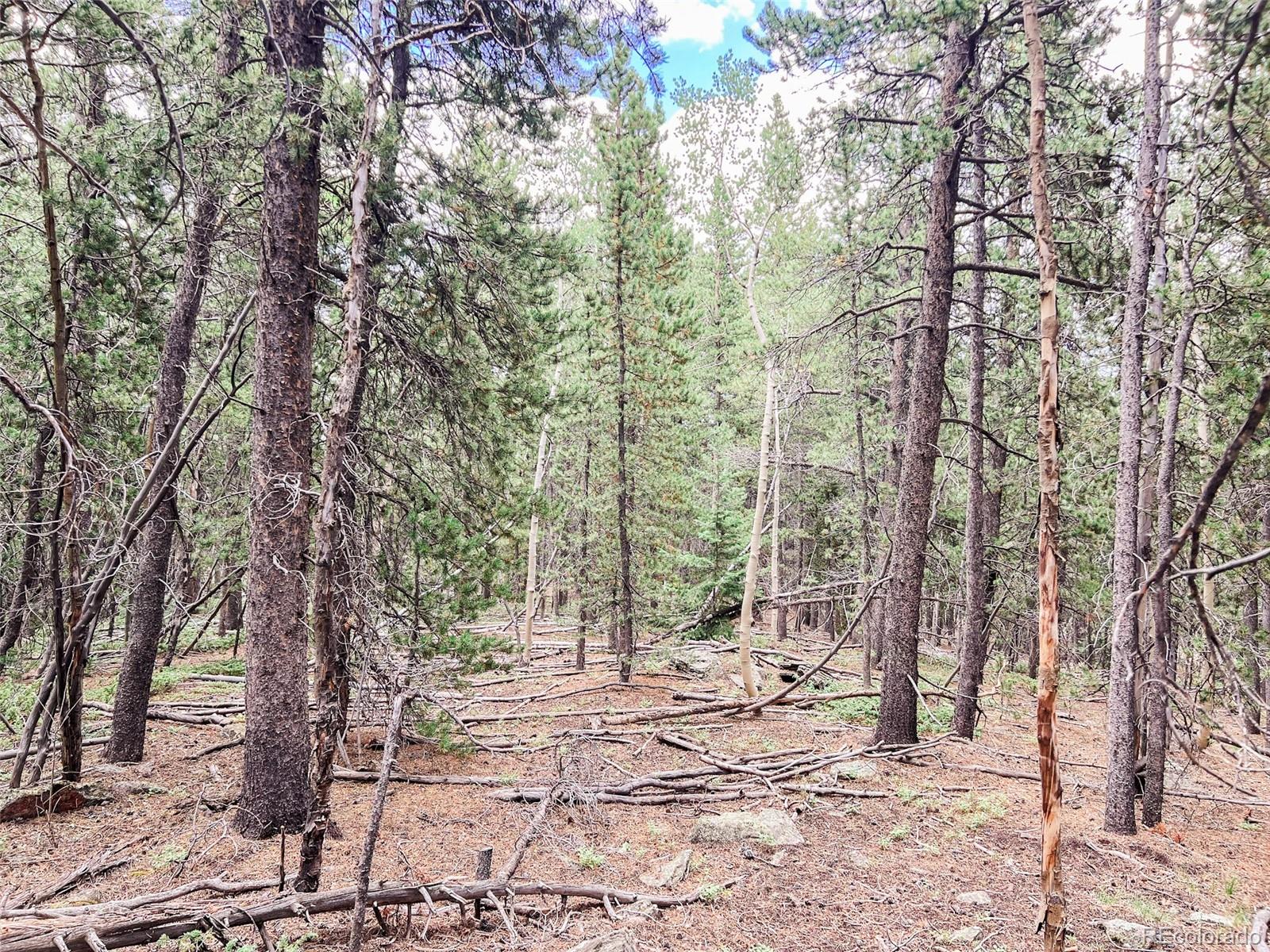 0 South Spring Gulch Road Idaho Springs, CO 80452 - Photo 24 of 35 Gallery Image 24