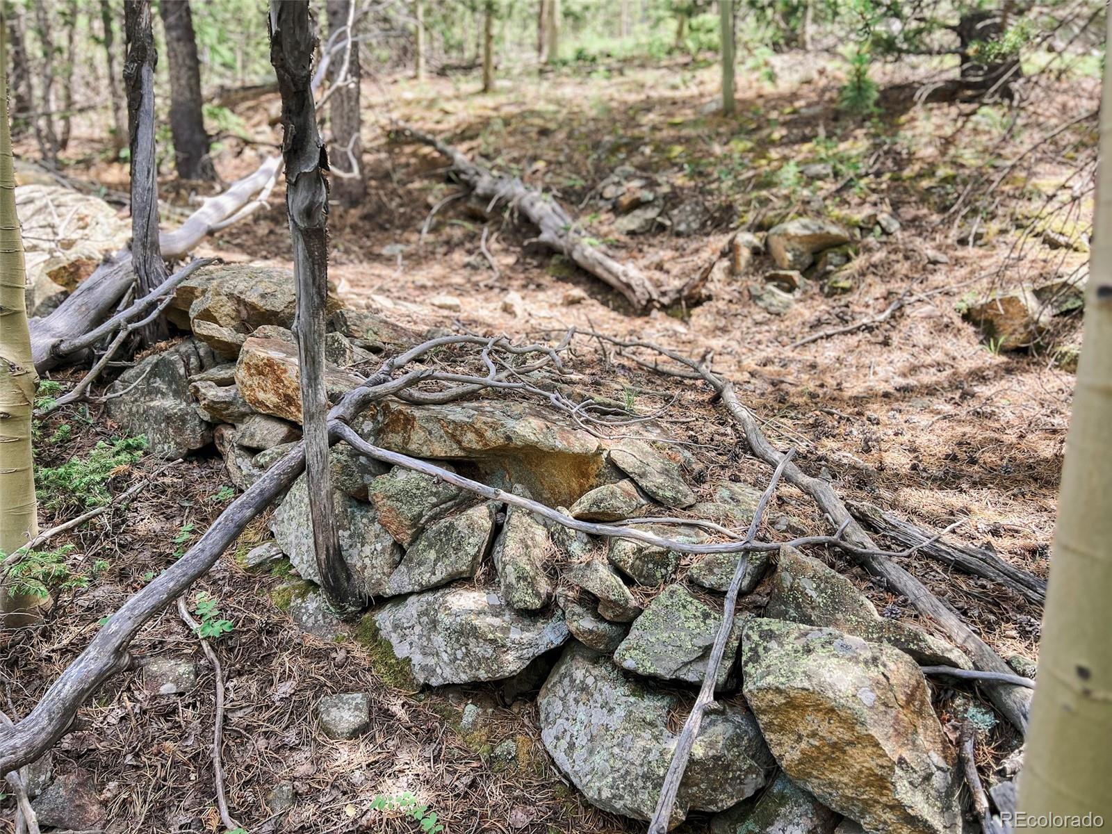 0 South Spring Gulch Road Idaho Springs, CO 80452 - Photo 26 of 35 Gallery Image 26