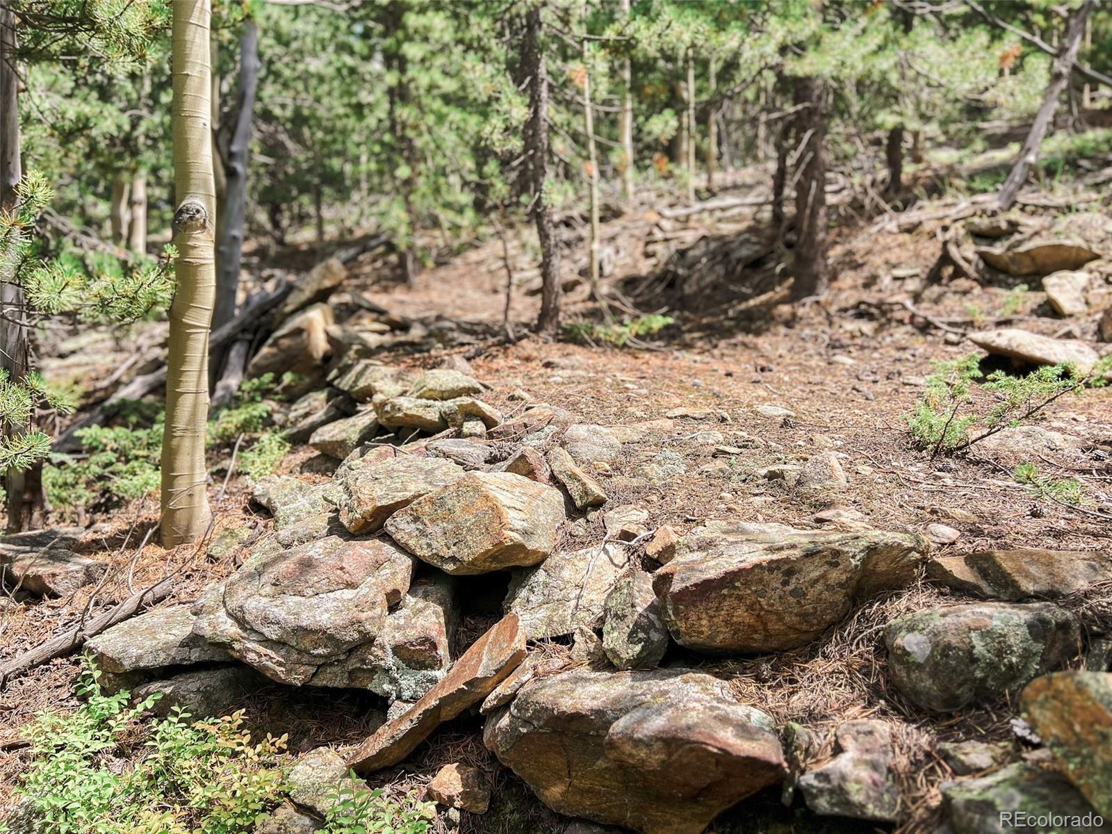 0 South Spring Gulch Road Idaho Springs, CO 80452 - Photo 27 of 35 Gallery Image 27