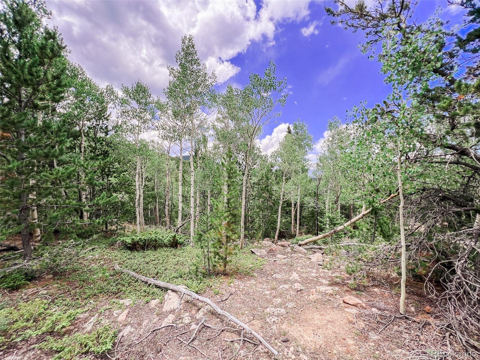 0 South Spring Gulch Road Idaho Springs, CO 80452 - Photo 29 of 35 Gallery Image 29