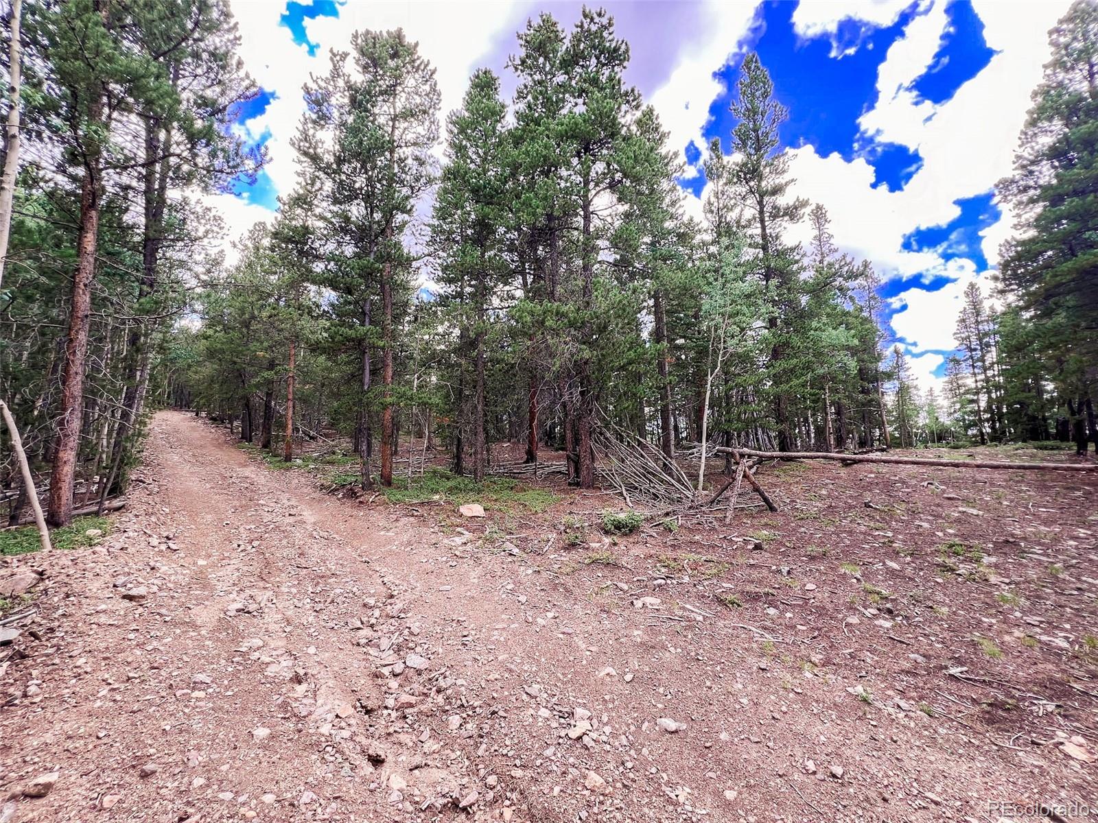 0 South Spring Gulch Road Idaho Springs, CO 80452 - Photo 3 of 35 Gallery Image 3