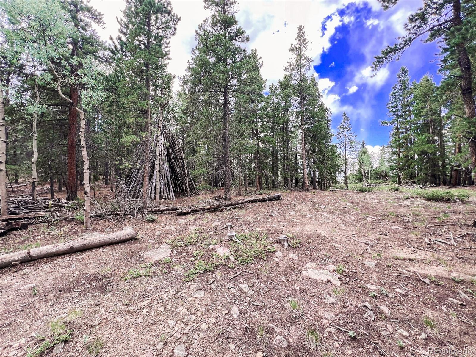 0 South Spring Gulch Road Idaho Springs, CO 80452 - Photo 5 of 35 Gallery Image 5