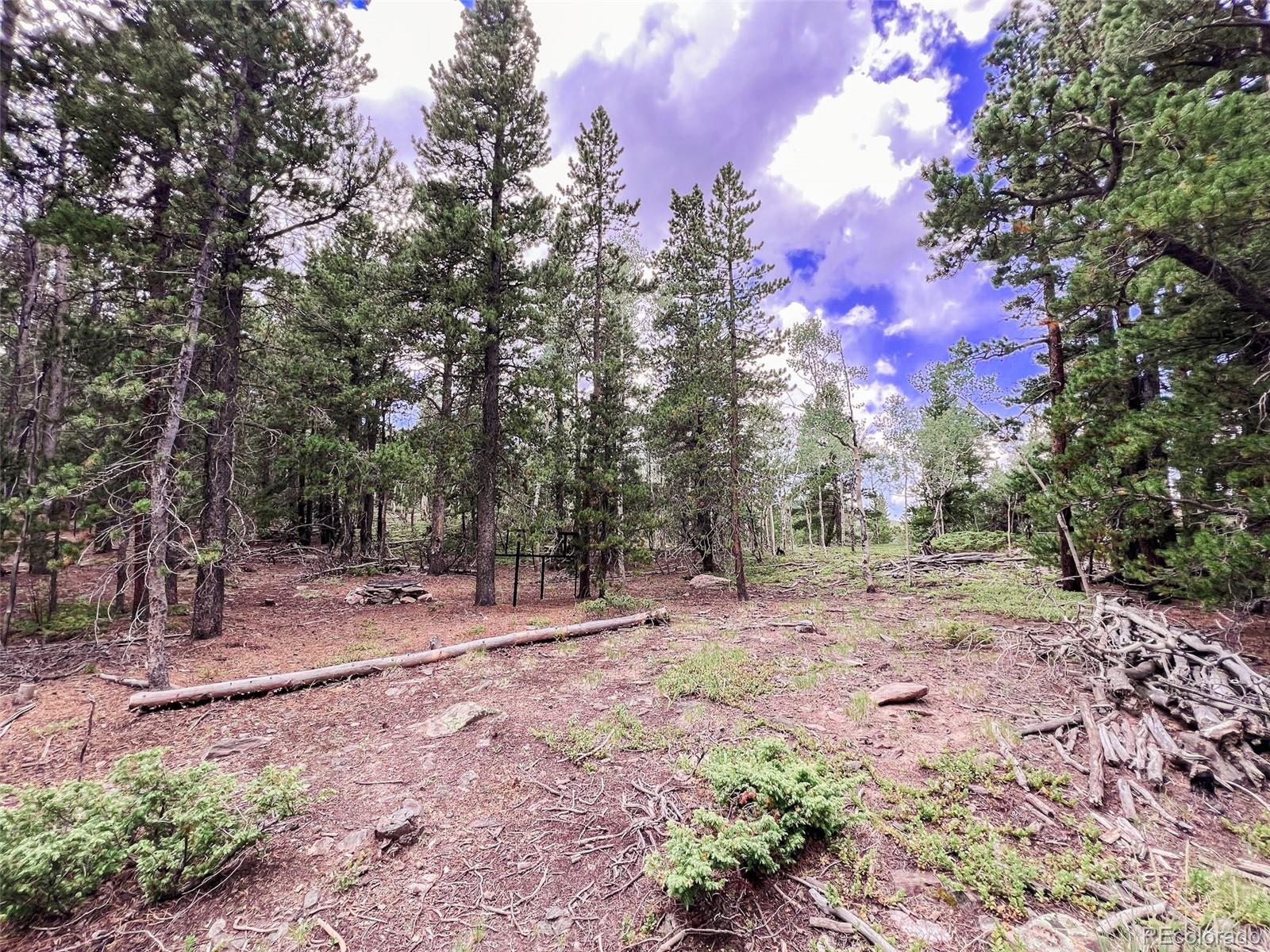 0 South Spring Gulch Road Idaho Springs, CO 80452 - Photo 7 of 35 Gallery Image 7