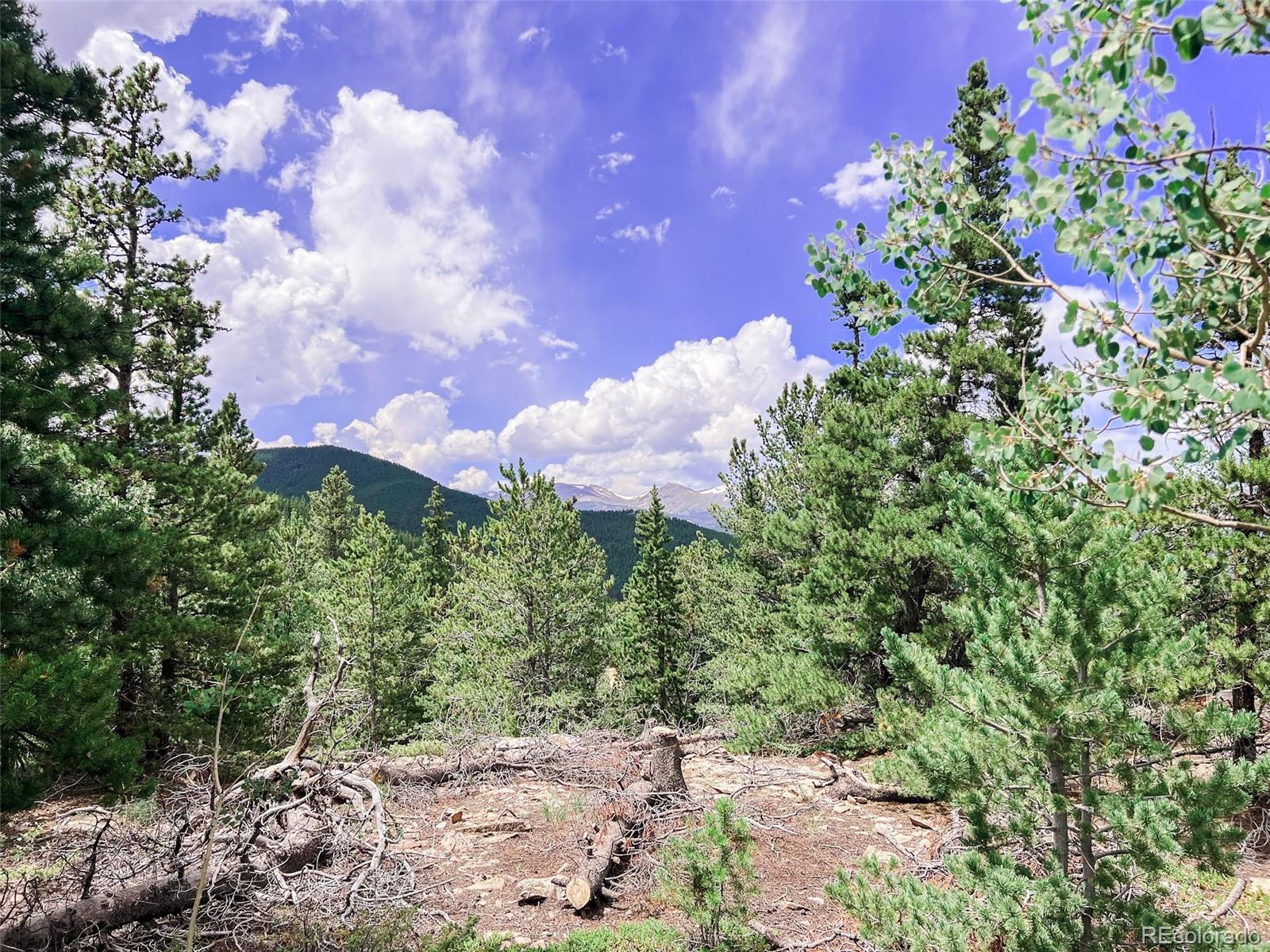 0 South Spring Gulch Road Idaho Springs, CO 80452 - Photo 8 of 35 Gallery Image 8