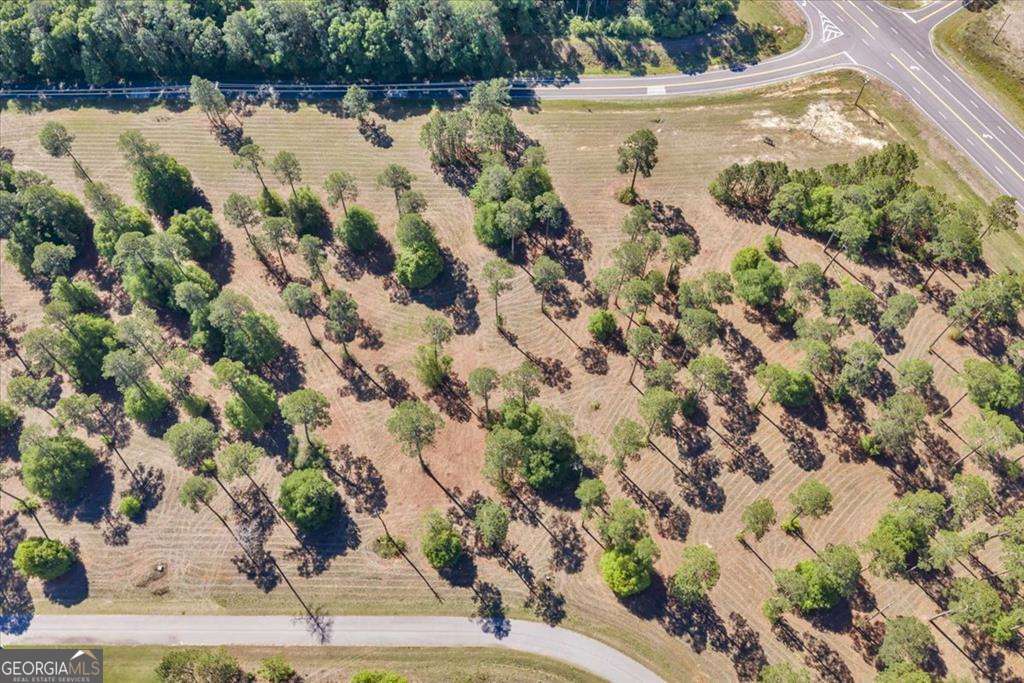 0 North Coney Rd Lot 12 Block A Cordele, GA 31015 - Photo 7 of 9 a view of yard with tree