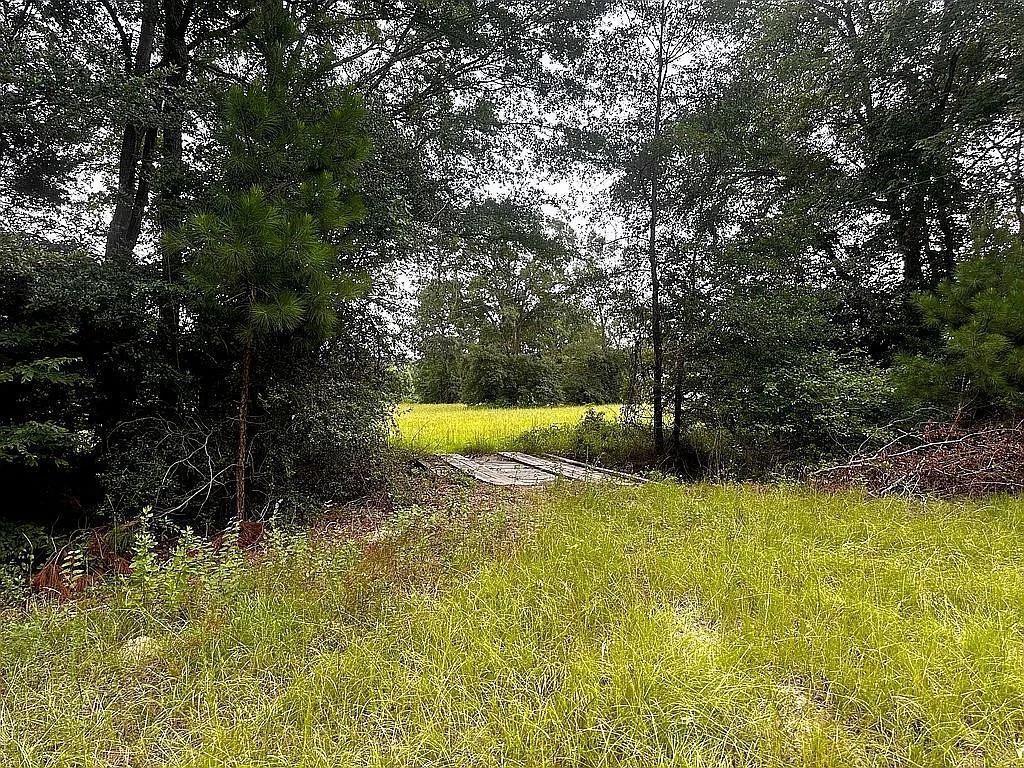 1840 County Road 1306 Rusk, TX 75785 - Photo 11 of 30