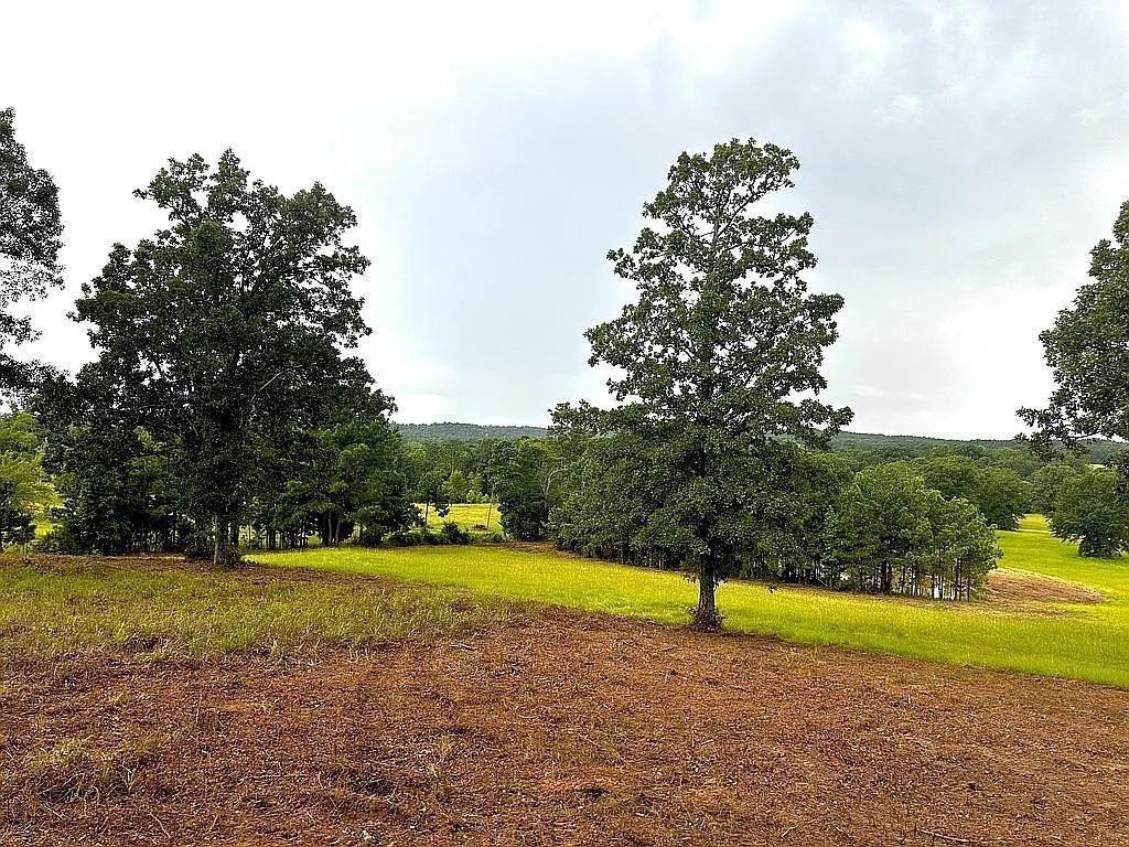 1840 County Road 1306 Rusk, TX 75785 - Photo 12 of 30