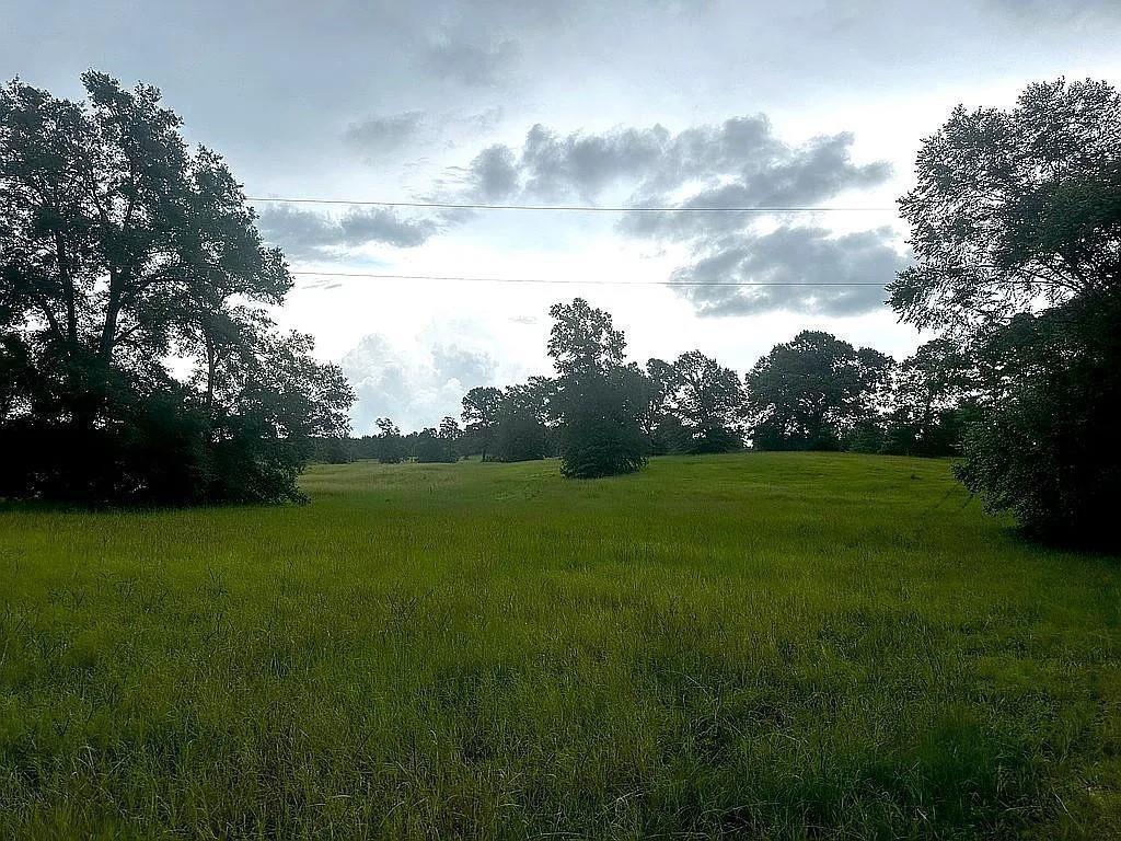 1840 County Road 1306 Rusk, TX 75785 - Photo 13 of 30