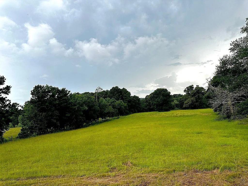 1840 County Road 1306 Rusk, TX 75785 - Photo 14 of 30