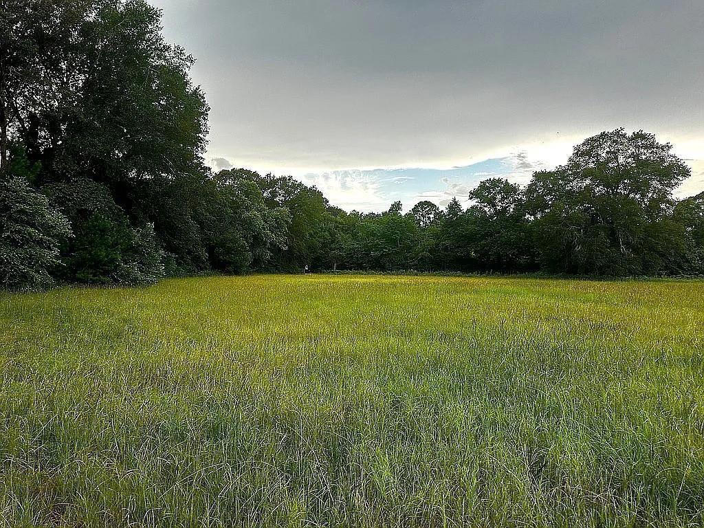 1840 County Road 1306 Rusk, TX 75785 - Photo 15 of 30