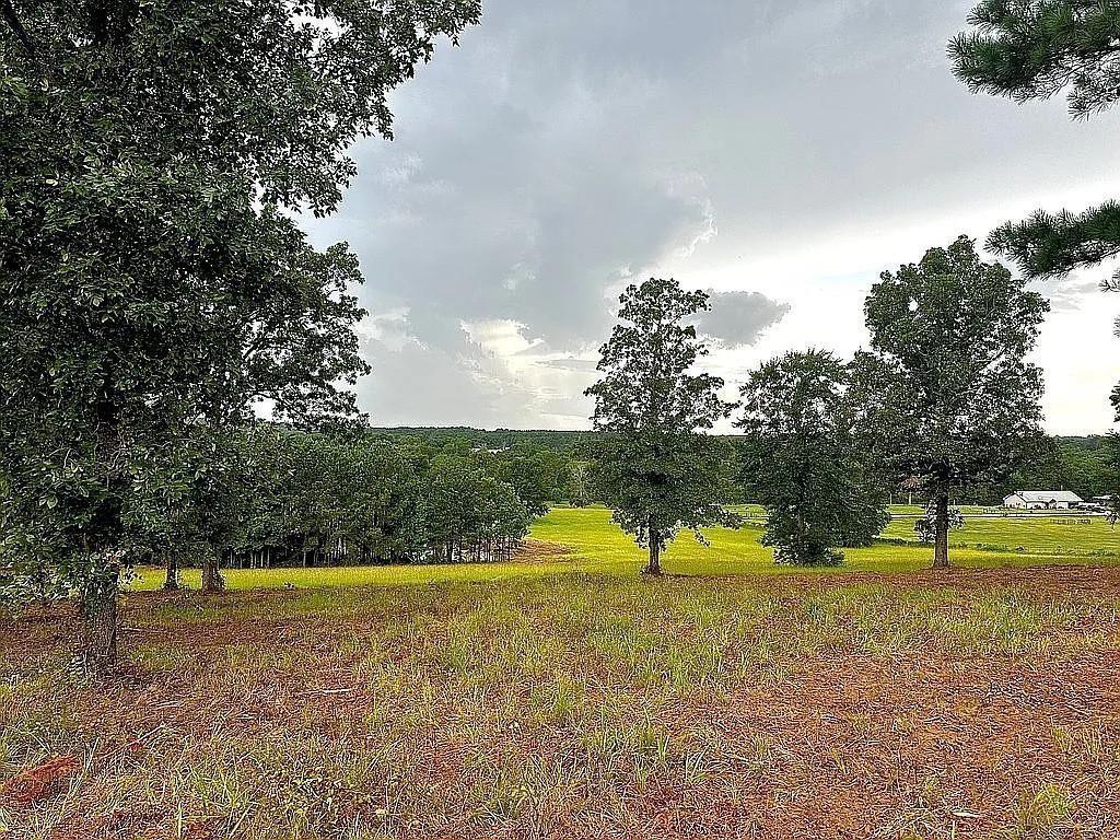 1840 County Road 1306 Rusk, TX 75785 - Photo 16 of 30