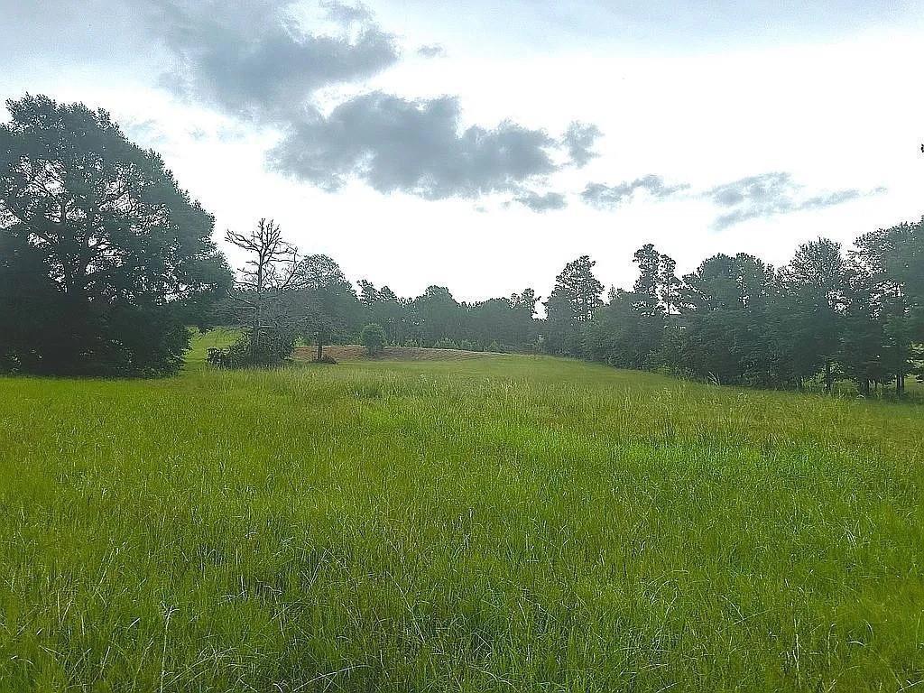 1840 County Road 1306 Rusk, TX 75785 - Photo 17 of 30