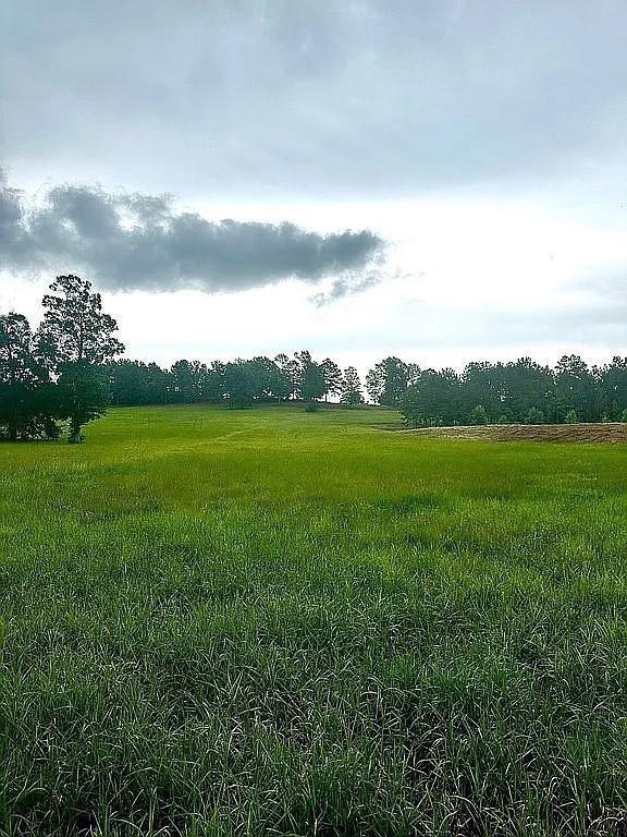 1840 County Road 1306 Rusk, TX 75785 - Photo 18 of 30