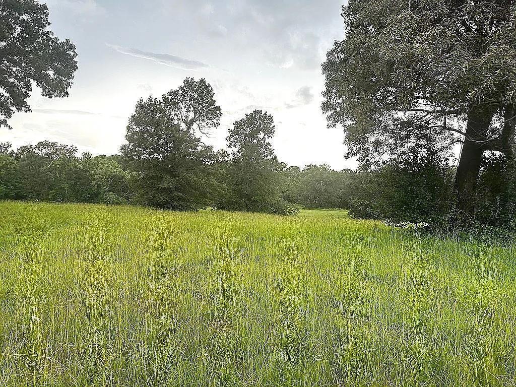 1840 County Road 1306 Rusk, TX 75785 - Photo 21 of 30