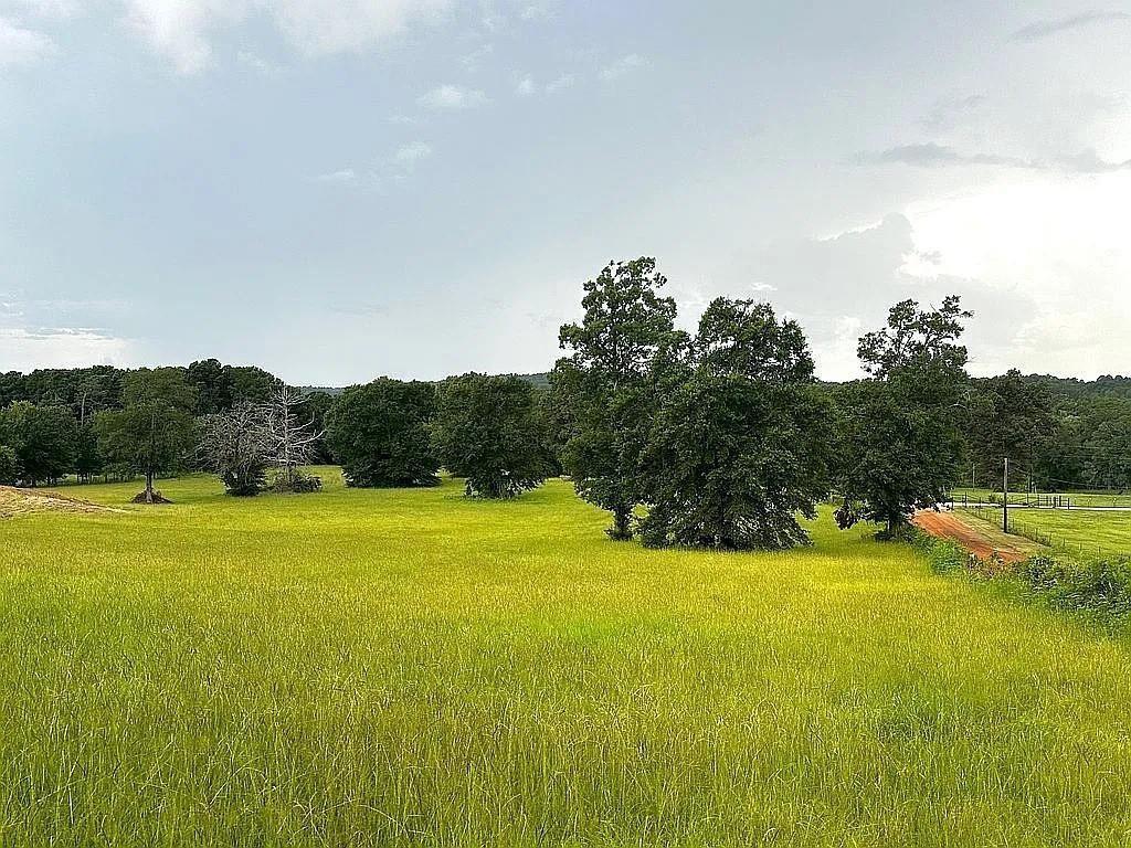 1840 County Road 1306 Rusk, TX 75785 - Photo 22 of 30