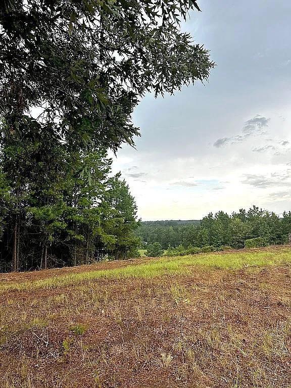 1840 County Road 1306 Rusk, TX 75785 - Photo 23 of 30