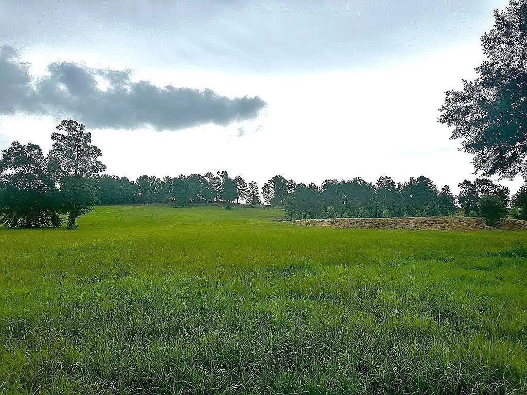 1840 County Road 1306 Rusk, TX 75785 - Photo 24 of 30