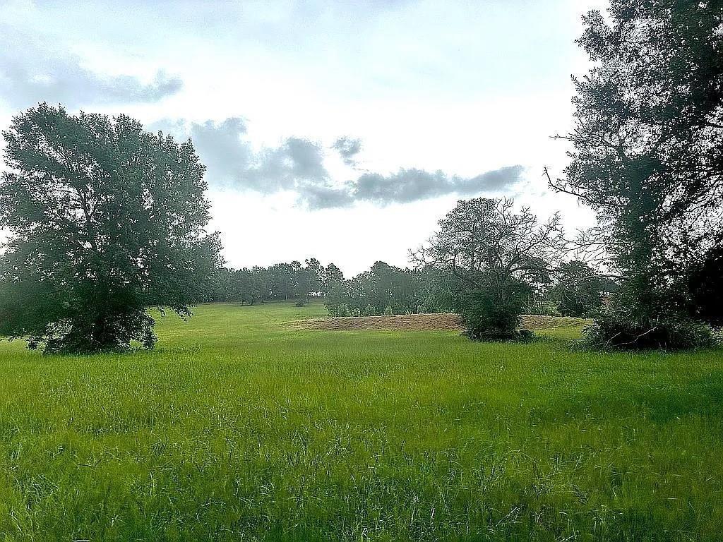 1840 County Road 1306 Rusk, TX 75785 - Photo 27 of 30