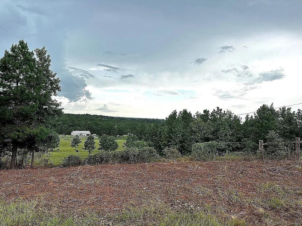 1840 County Road 1306 Rusk, TX 75785 - Photo 28 of 30