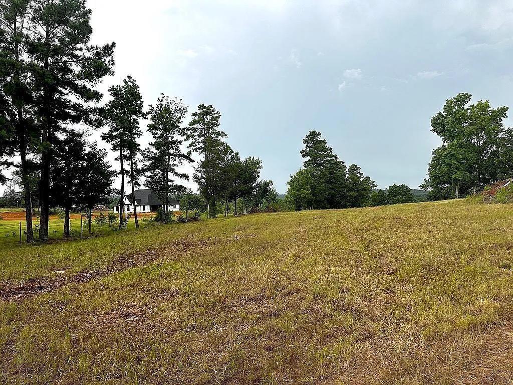 1840 County Road 1306 Rusk, TX 75785 - Photo 29 of 30