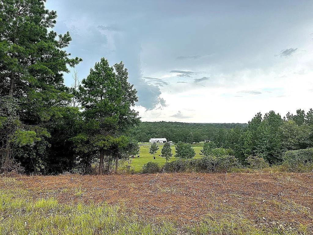 1840 County Road 1306 Rusk, TX 75785 - Photo 4 of 30