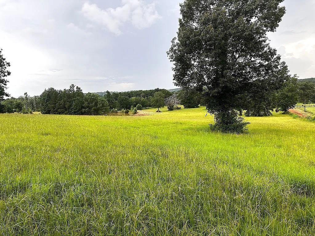 1840 County Road 1306 Rusk, TX 75785 - Photo 6 of 30