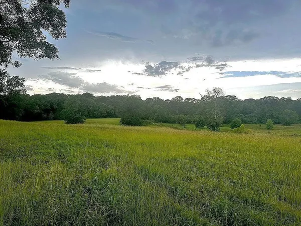 $395,000 | 1840 County Road 1306, Rusk, TX 75785