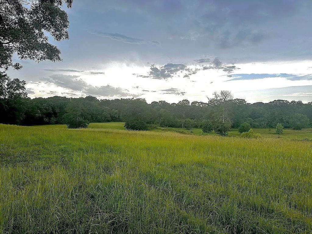 1840 County Road 1306 Rusk, TX 75785 - Photo 9 of 30