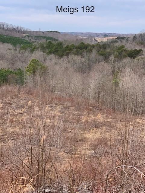 0 Hayman Road Long Bottom, OH 45743 - Photo 1 of 6