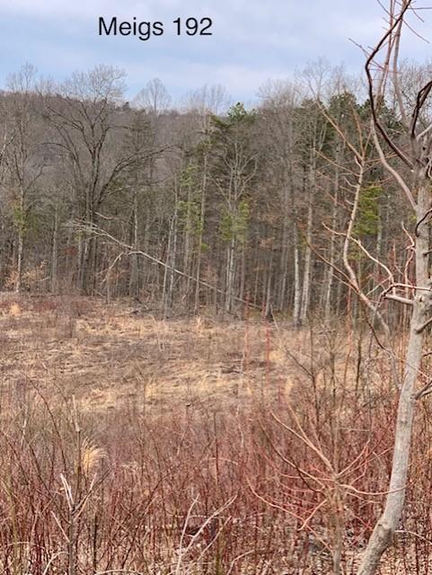 0 Hayman Road Long Bottom, OH 45743 - Photo 3 of 6