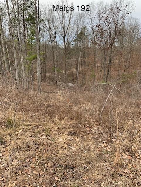 0 Hayman Road Long Bottom, OH 45743 - Photo 4 of 6