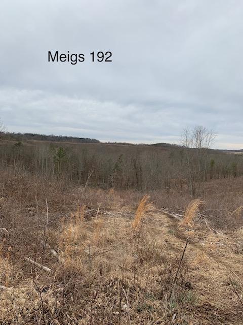 0 Hayman Road Long Bottom, OH 45743 - Photo 5 of 6