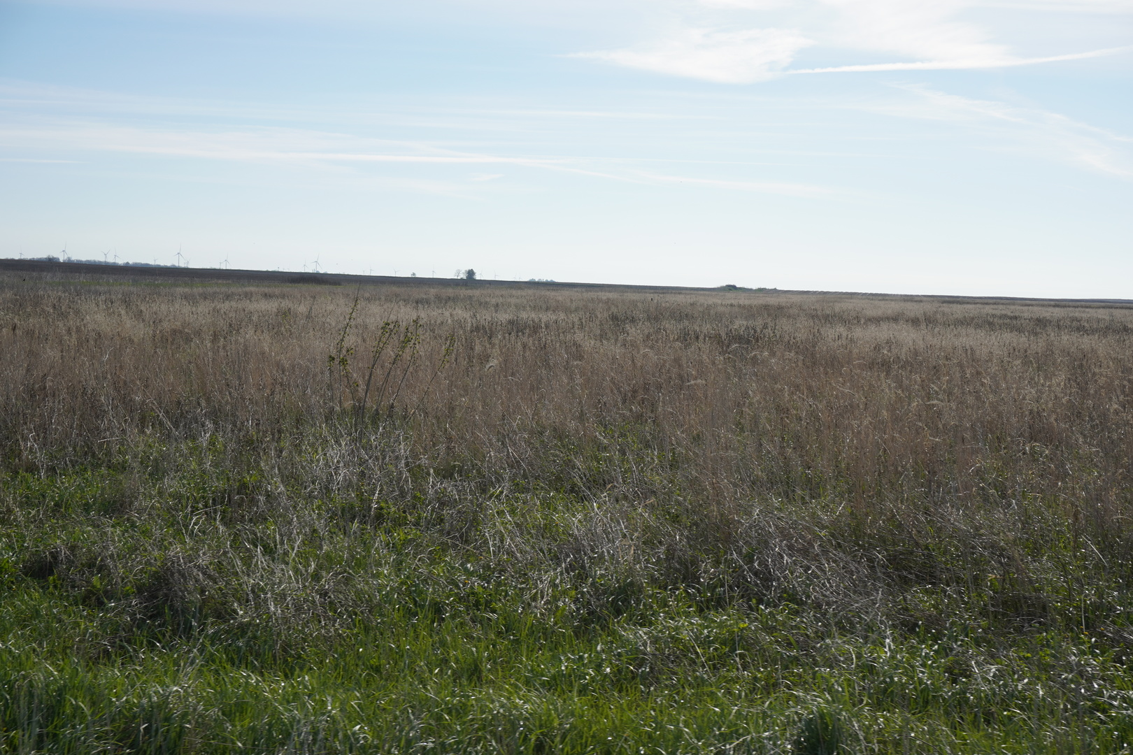 102 Acres /- East 1900 North Road Cullom, IL 60929 - Photo 16 of 16